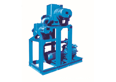 JZJ2S系列羅茨水環(huán)真空機(jī)組